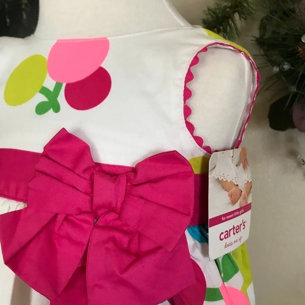 Carter’s Baby Girl Dress NWT